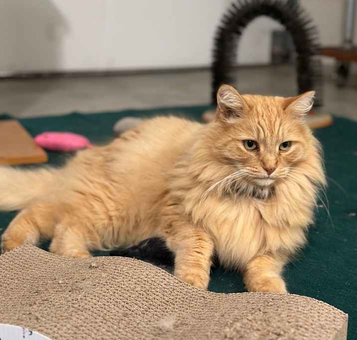 Photo of Sam