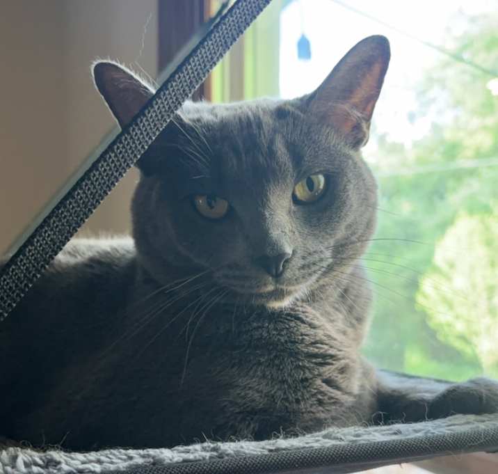 Photo of Suki Blue