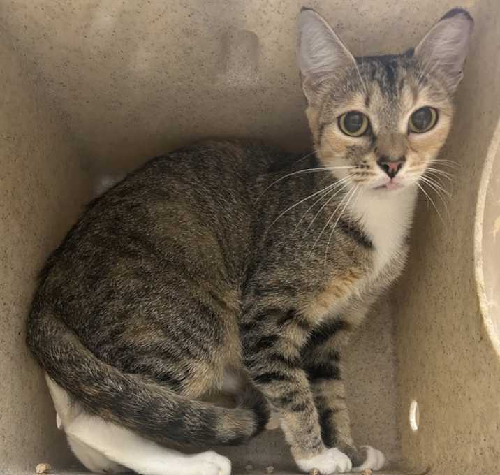 Photo of FEISTY