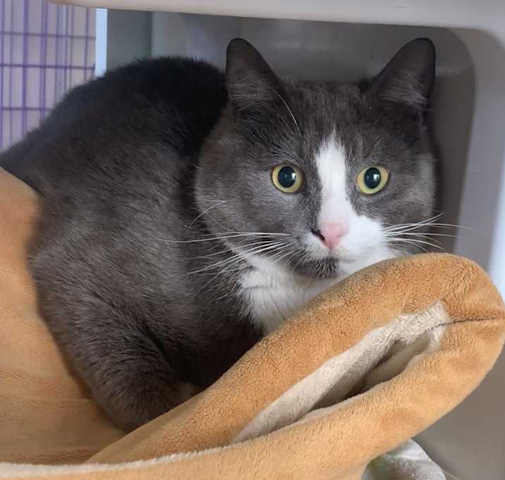 Photo of Bundle