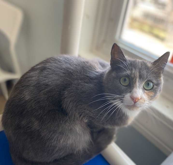 Photo of Bindle