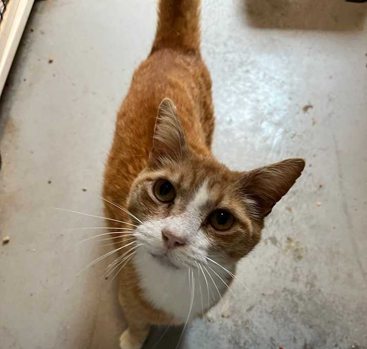 Photo of Jacques