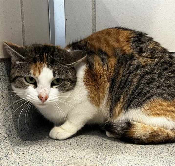 Photo of TATER