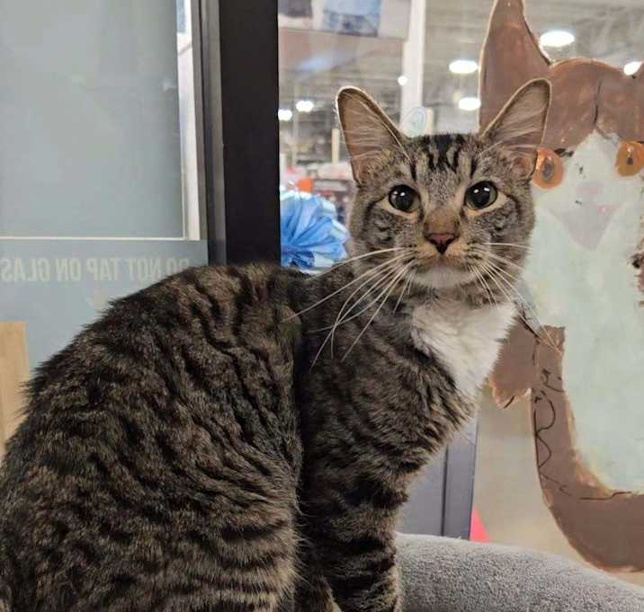 Photo of Alvin