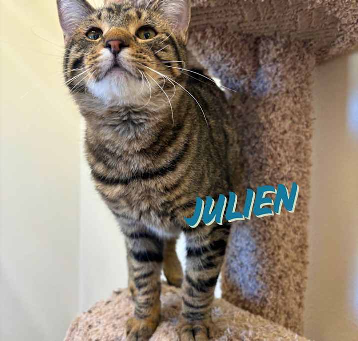 Photo of Julien