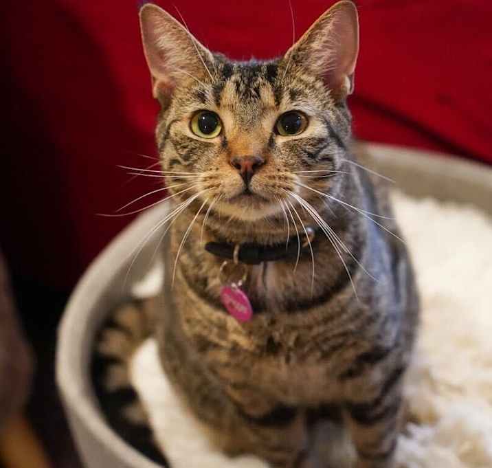 Photo of Skipper