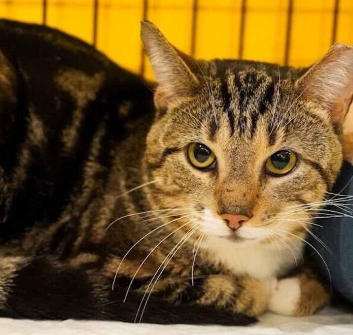 Photo of Jonesy