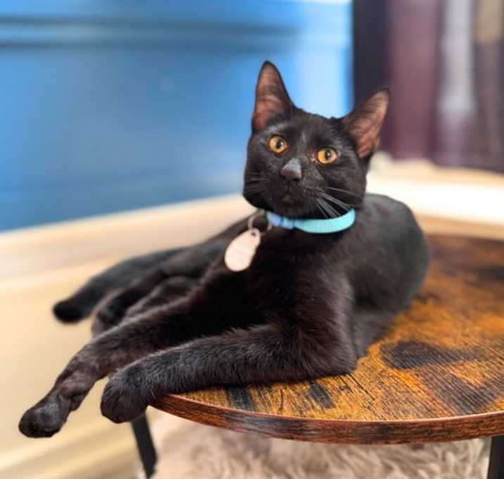 Photo of Frankie