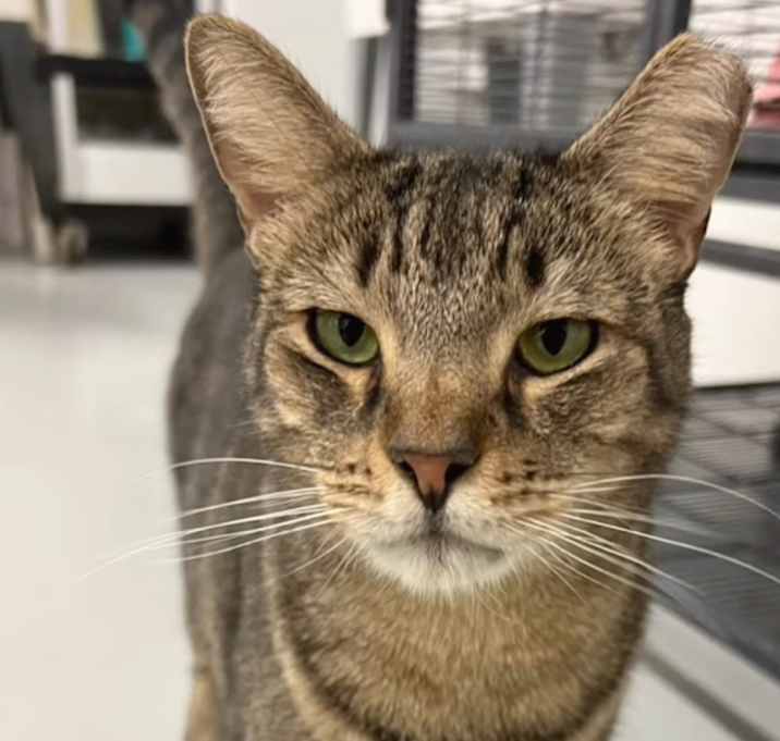 Photo of Bentley