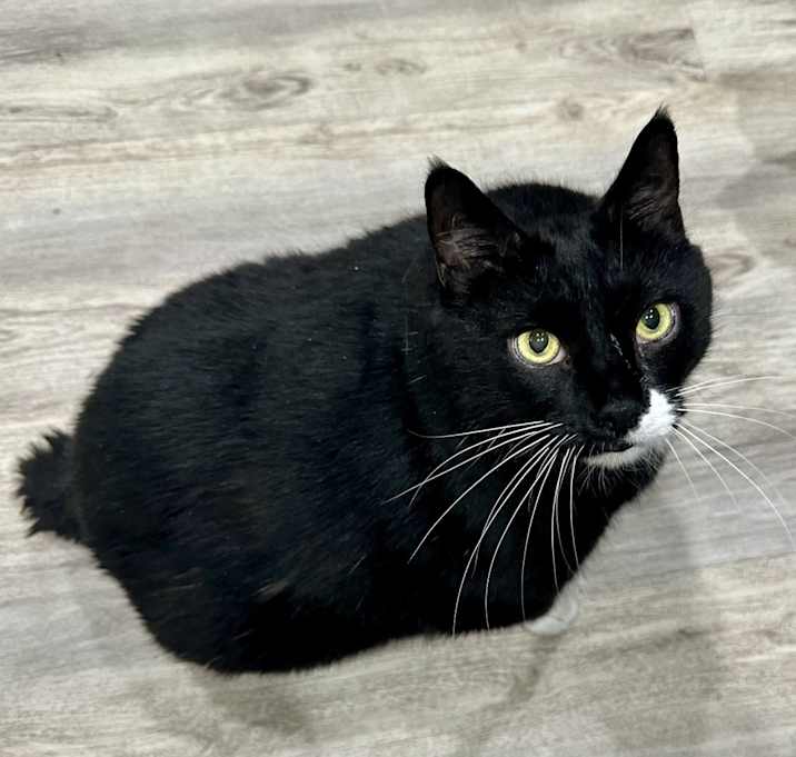 Photo of Bob