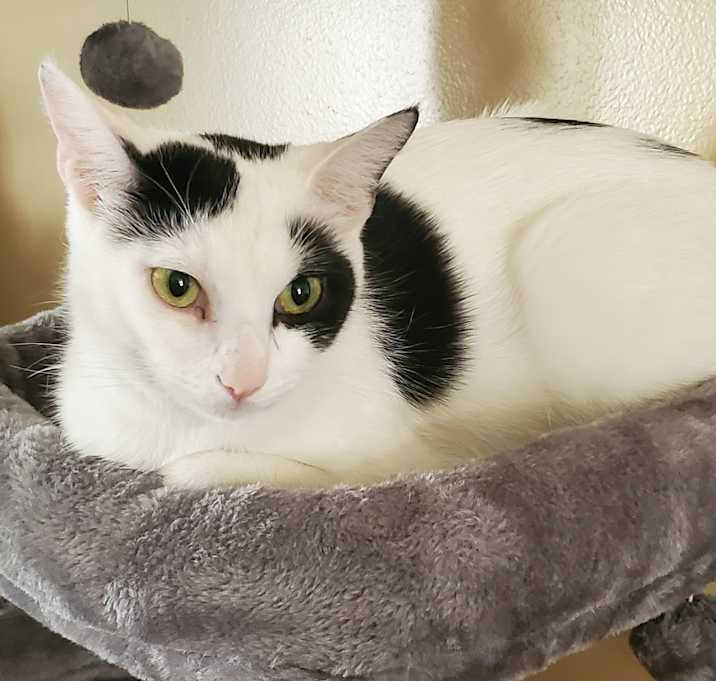 Photo of Luna