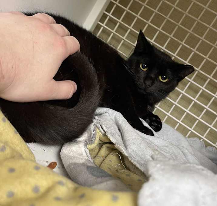 Photo of Void