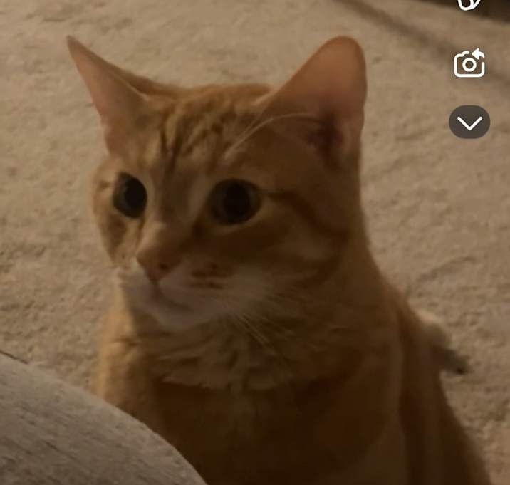 Photo of Scottie