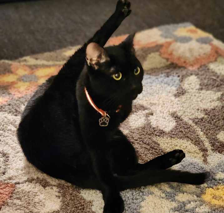 Photo of Salem