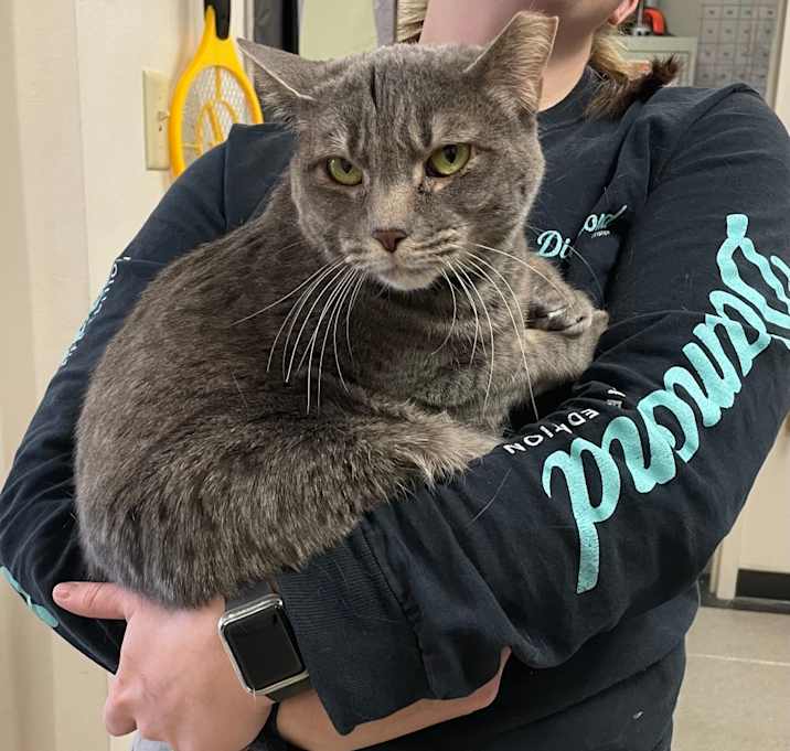 Photo of Duchess