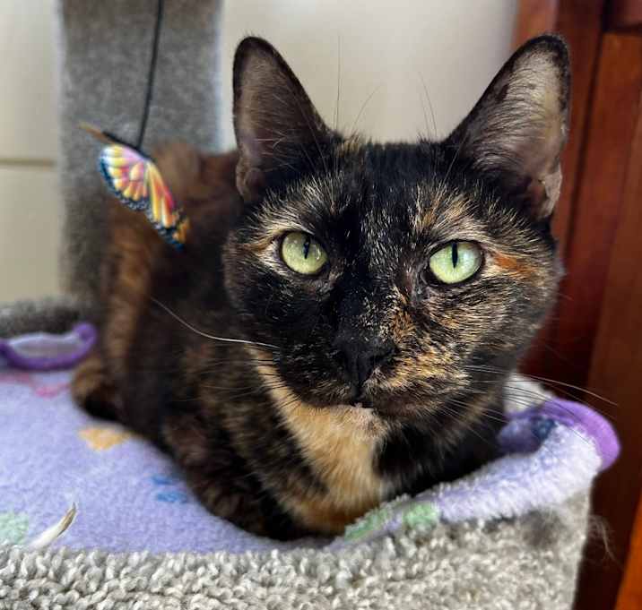 Photo of Empress