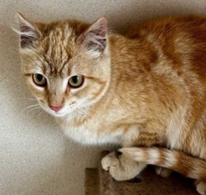 Photo of Gabby