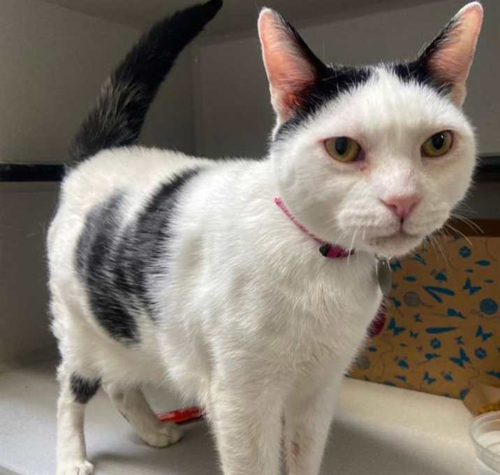 Photo of BINGO