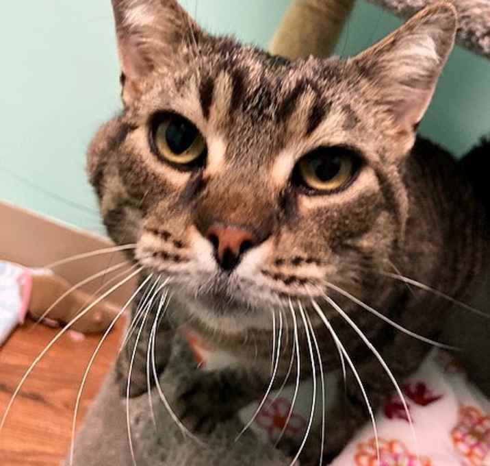 Photo of Morty