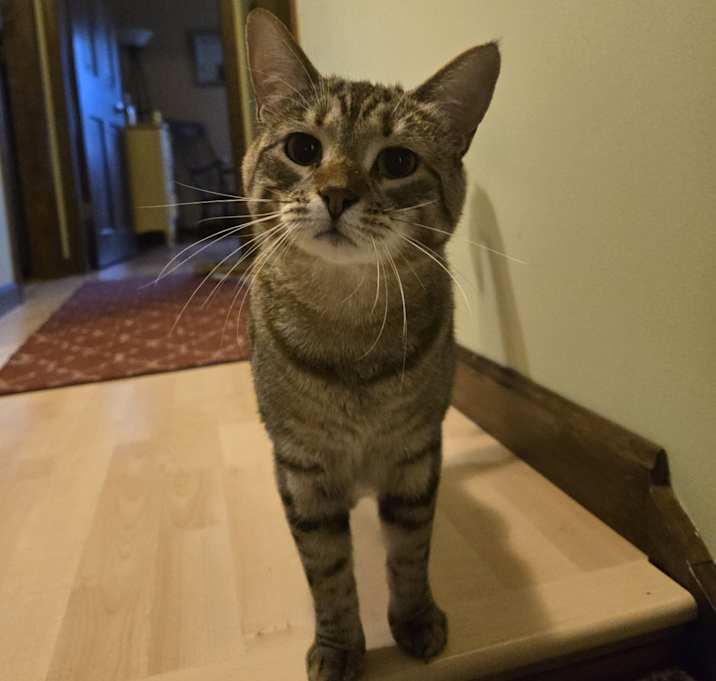 Photo of Louise