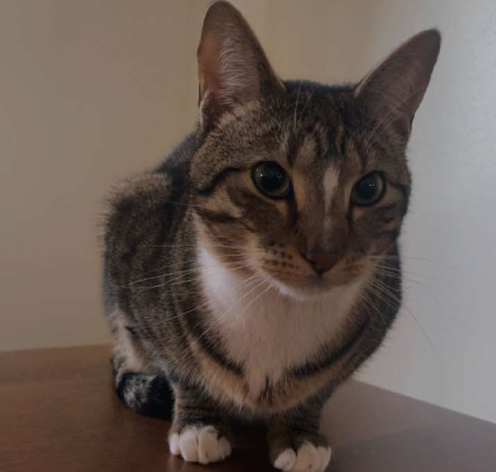 Photo of Wilbur