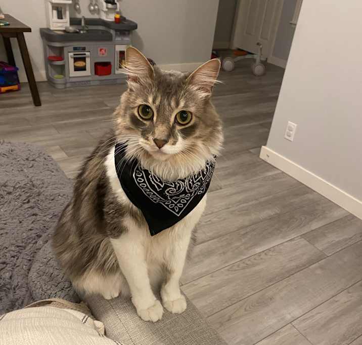 Photo of Gus