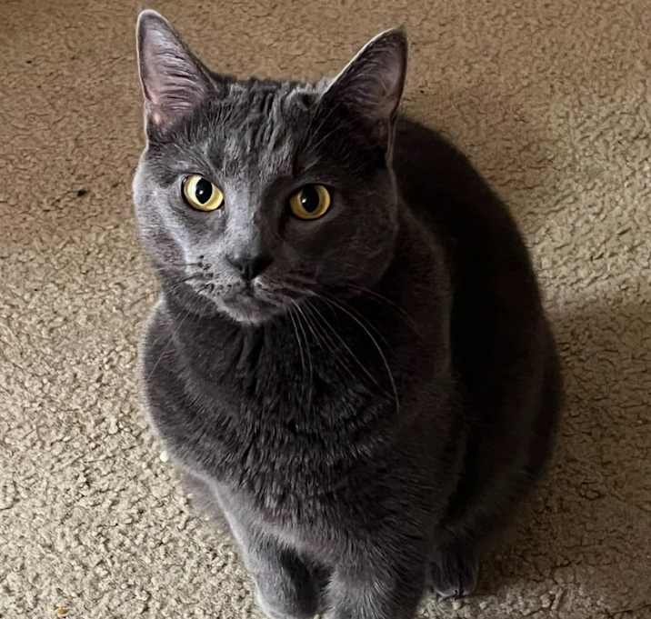 Photo of Moody