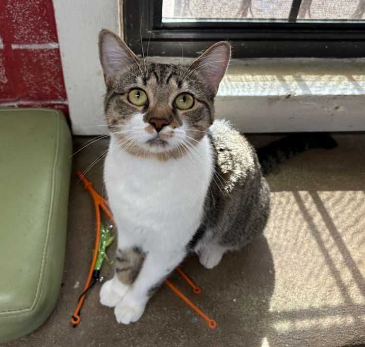 Photo of Kiki
