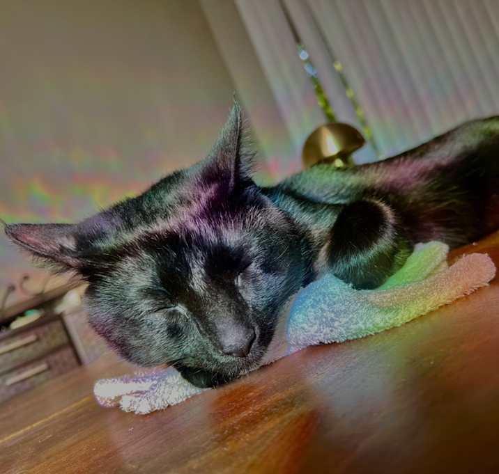 Photo of Thelonious