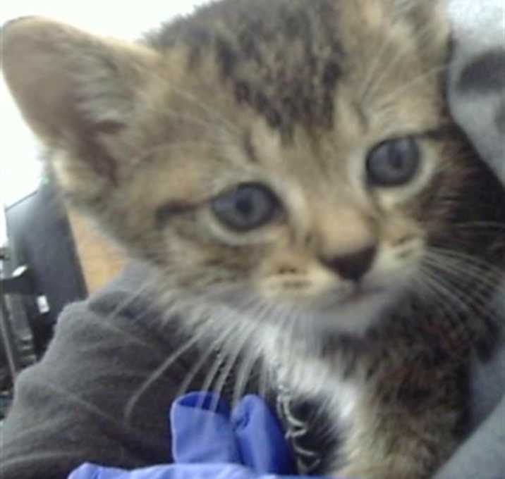 Photo of QUINCY