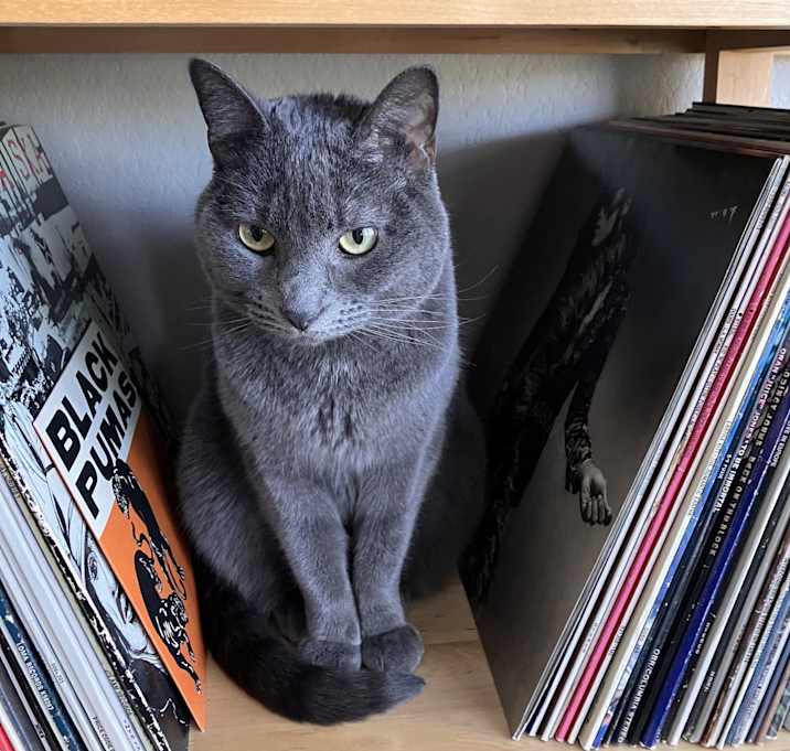 Photo of Mojo