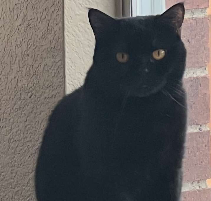 Photo of Bonnie Blue