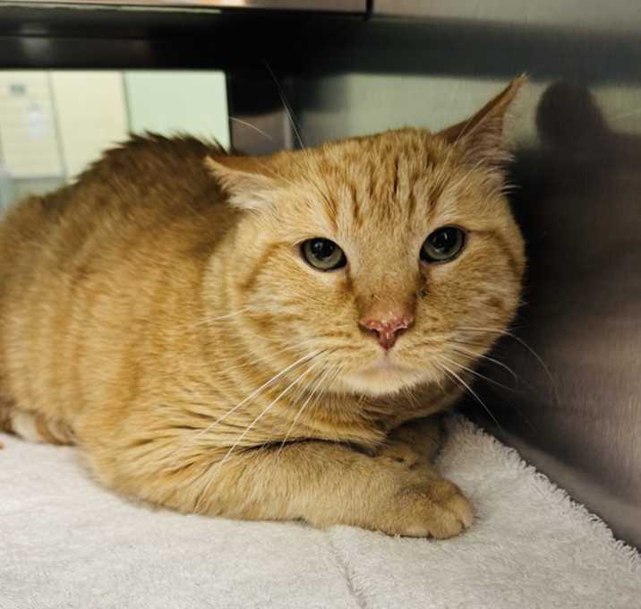 Photo of GUS