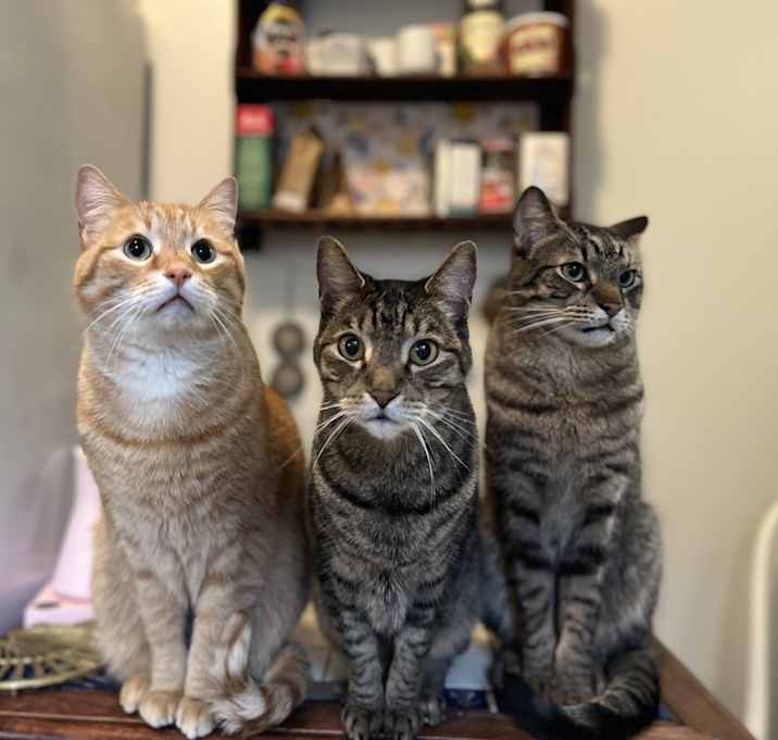 Photo of Nacho & Fluff