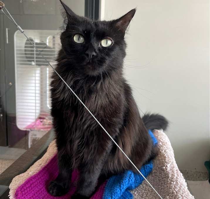 Photo of Sundance