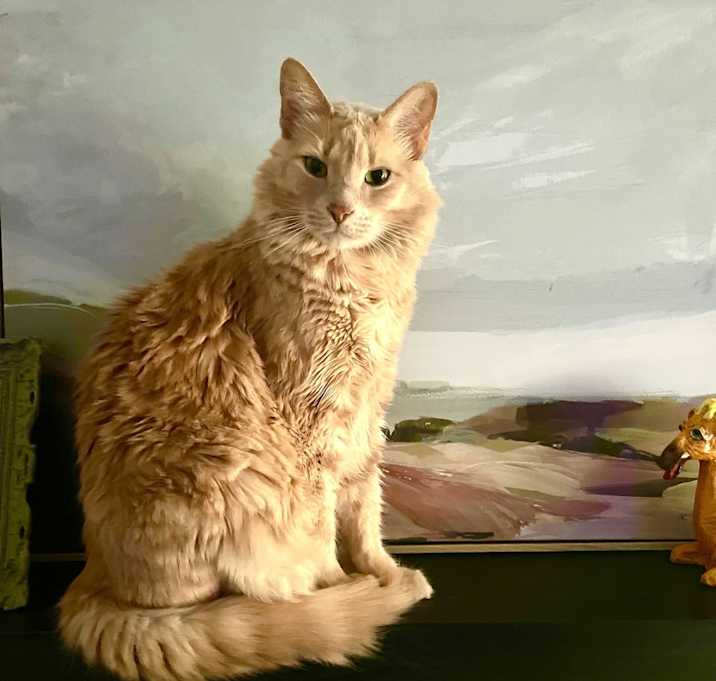 Photo of Einstein
