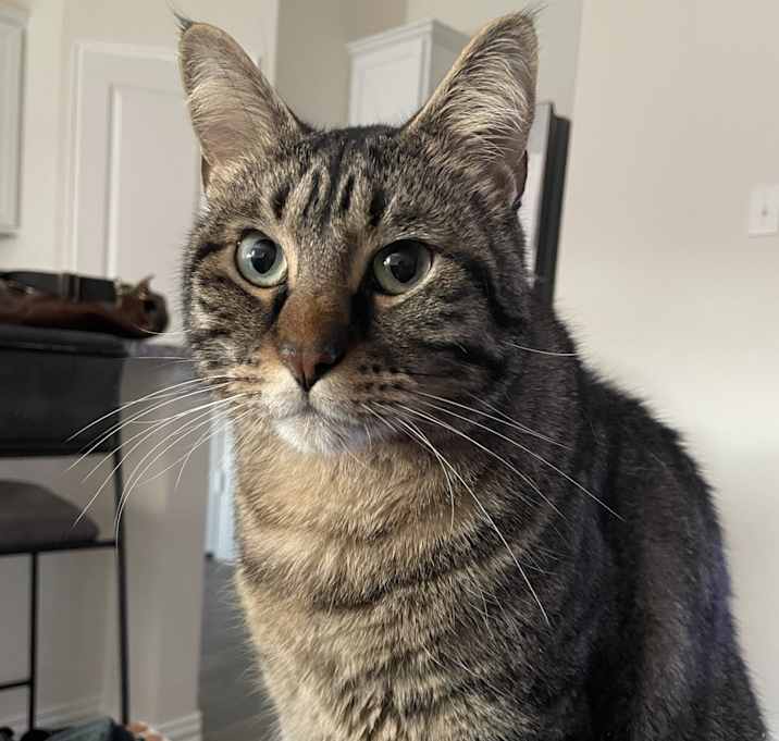 Photo of Leo