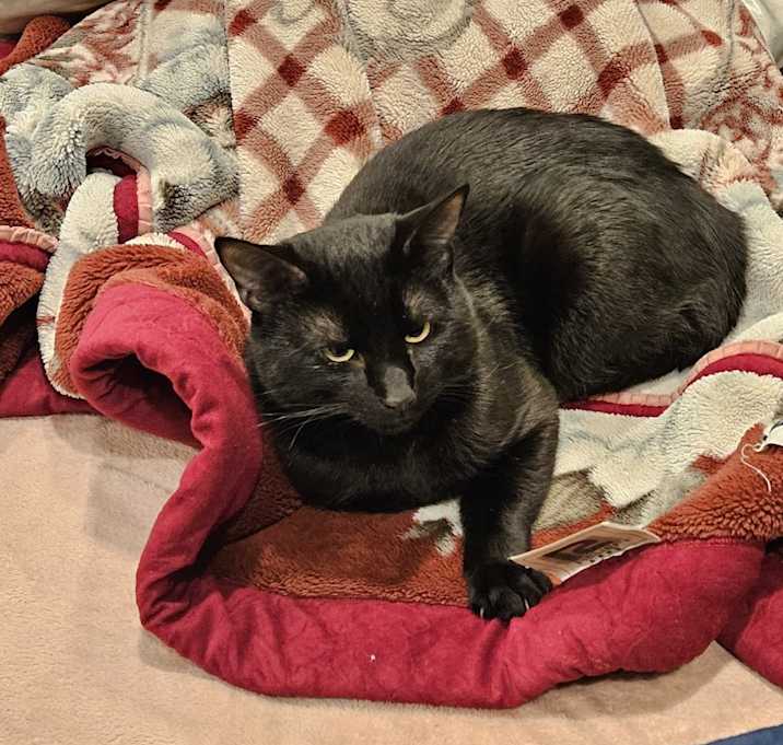 Photo of Buddy