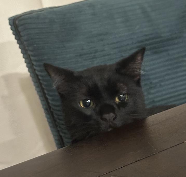 Photo of Dussè