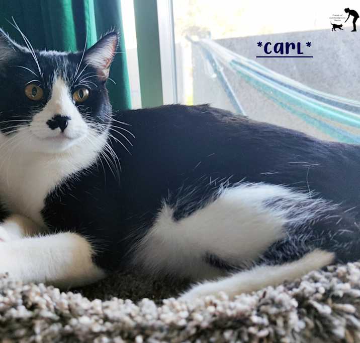 Photo of Carl