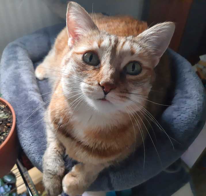 Photo of Hazel
