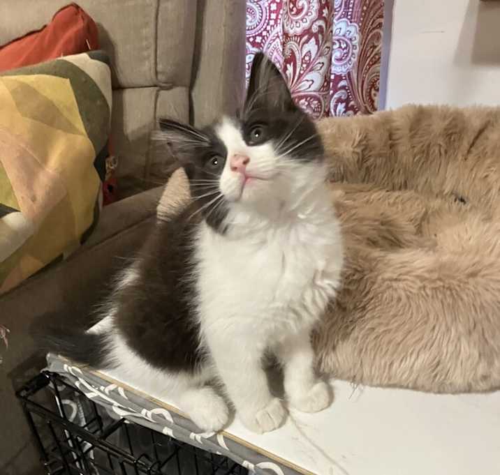 Photo of BlackJack