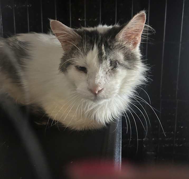 Photo of Winks
