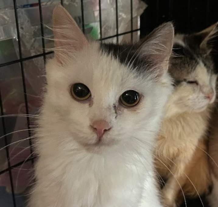 Photo of Powder