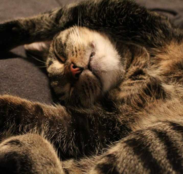 Photo of Kiki