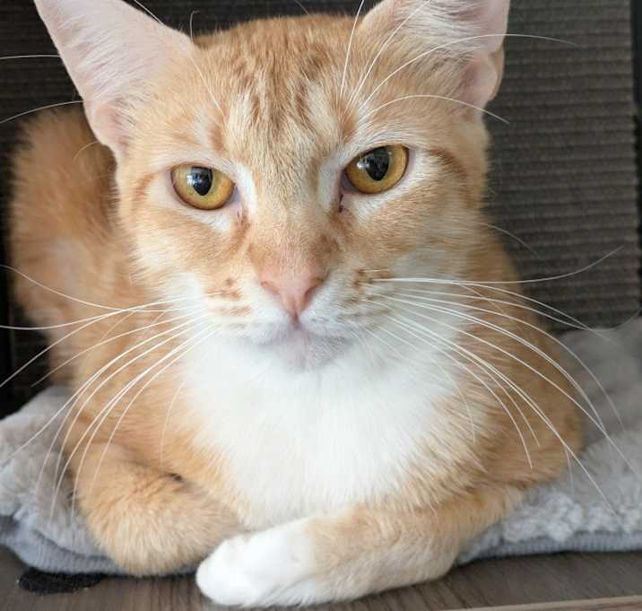 Photo of Amara