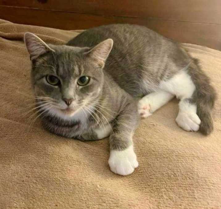 Photo of Muffy