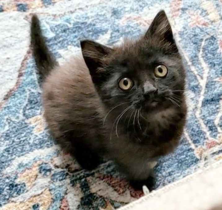 Photo of Theodore