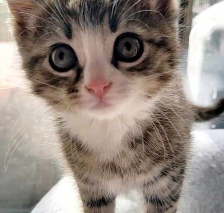 Photo of Alvin