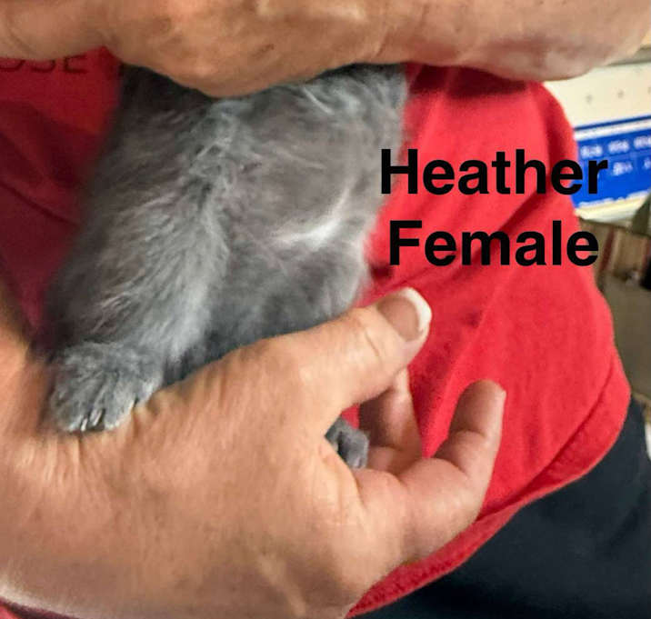 Photo of Heather